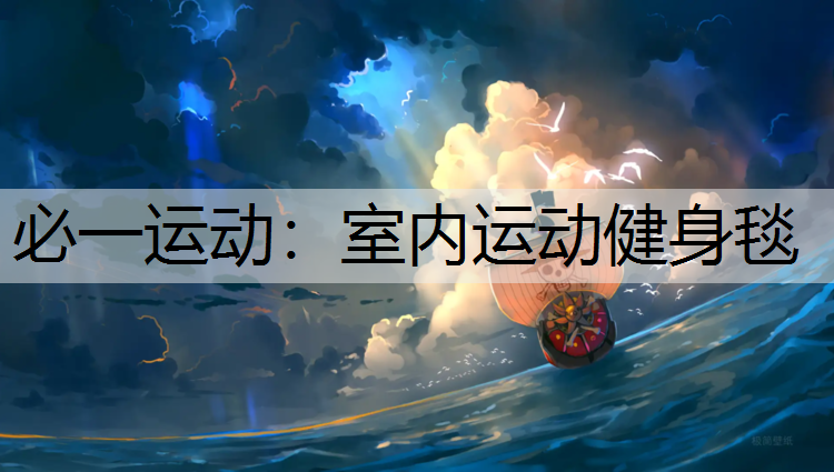 室内运动健身毯 室内运动健身毯