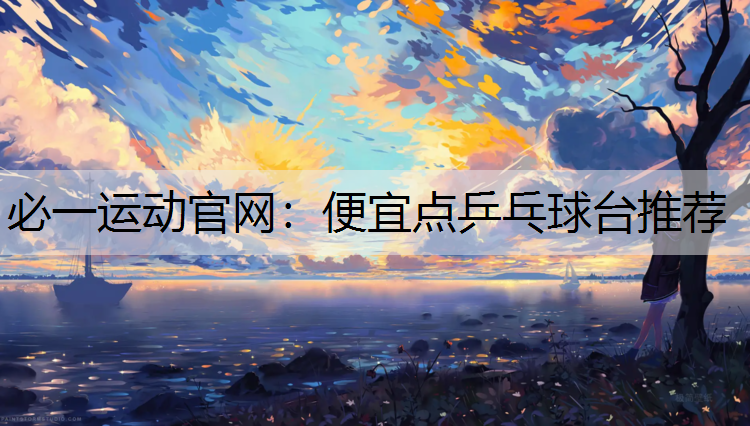便宜点乒乓球台推荐