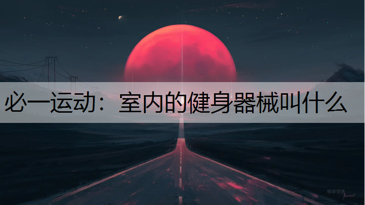 室内的健身器械叫什么