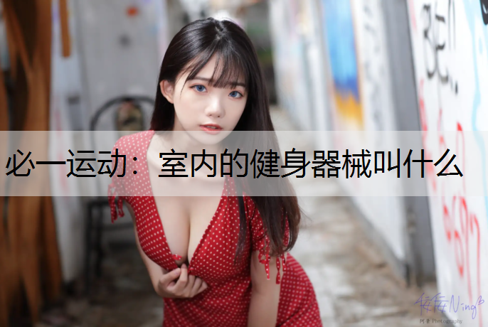 室内的健身器械叫什么
