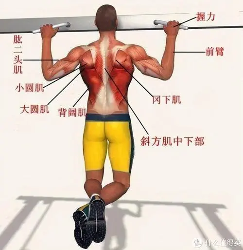 乒乓球台套定额