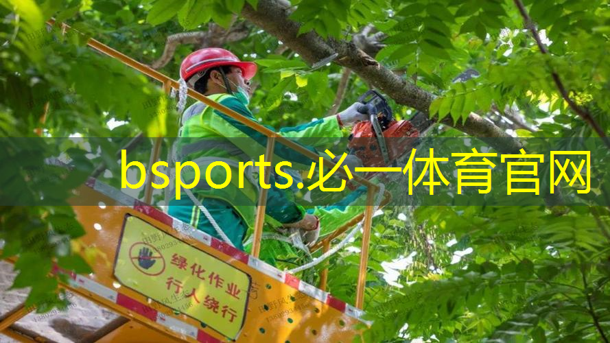 网球拍迪卡侬的好吗_