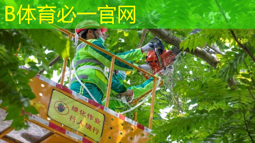 海德网球拍1819线床