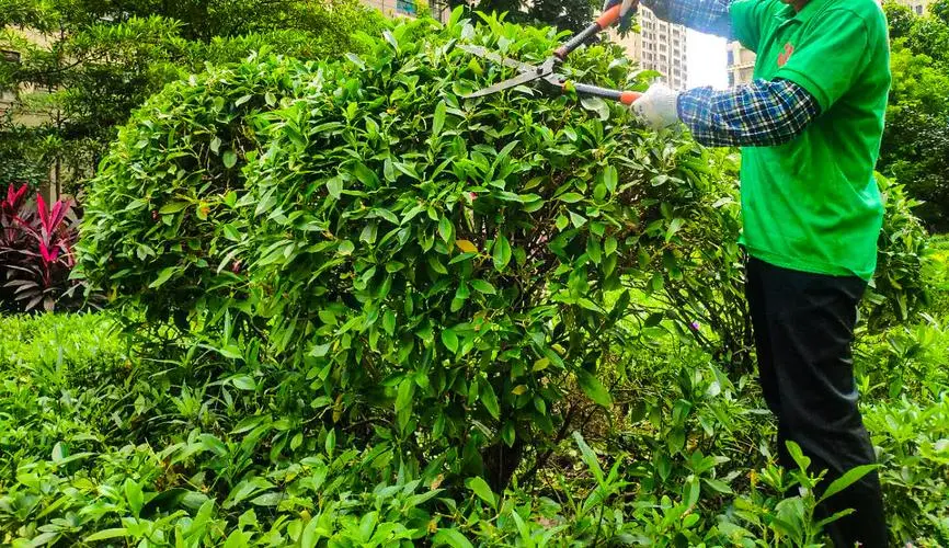 两百以下最值得网球拍