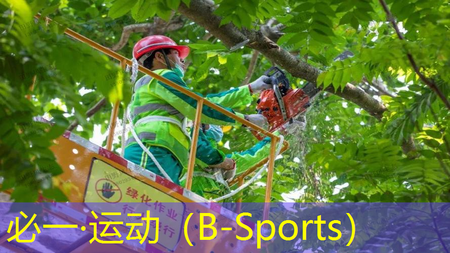 小黑拍网球拍系列有哪些