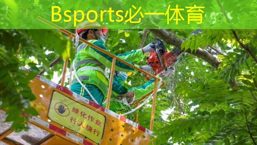 网球拍百宝力专业