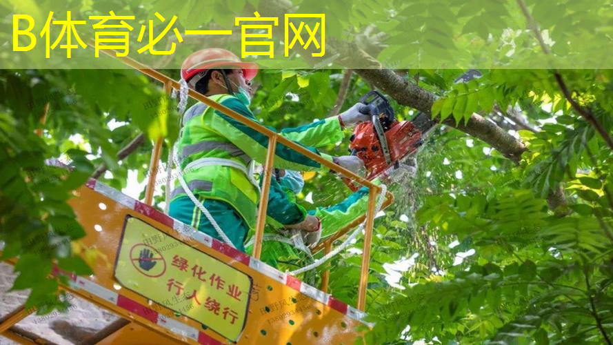 室内低强度健身